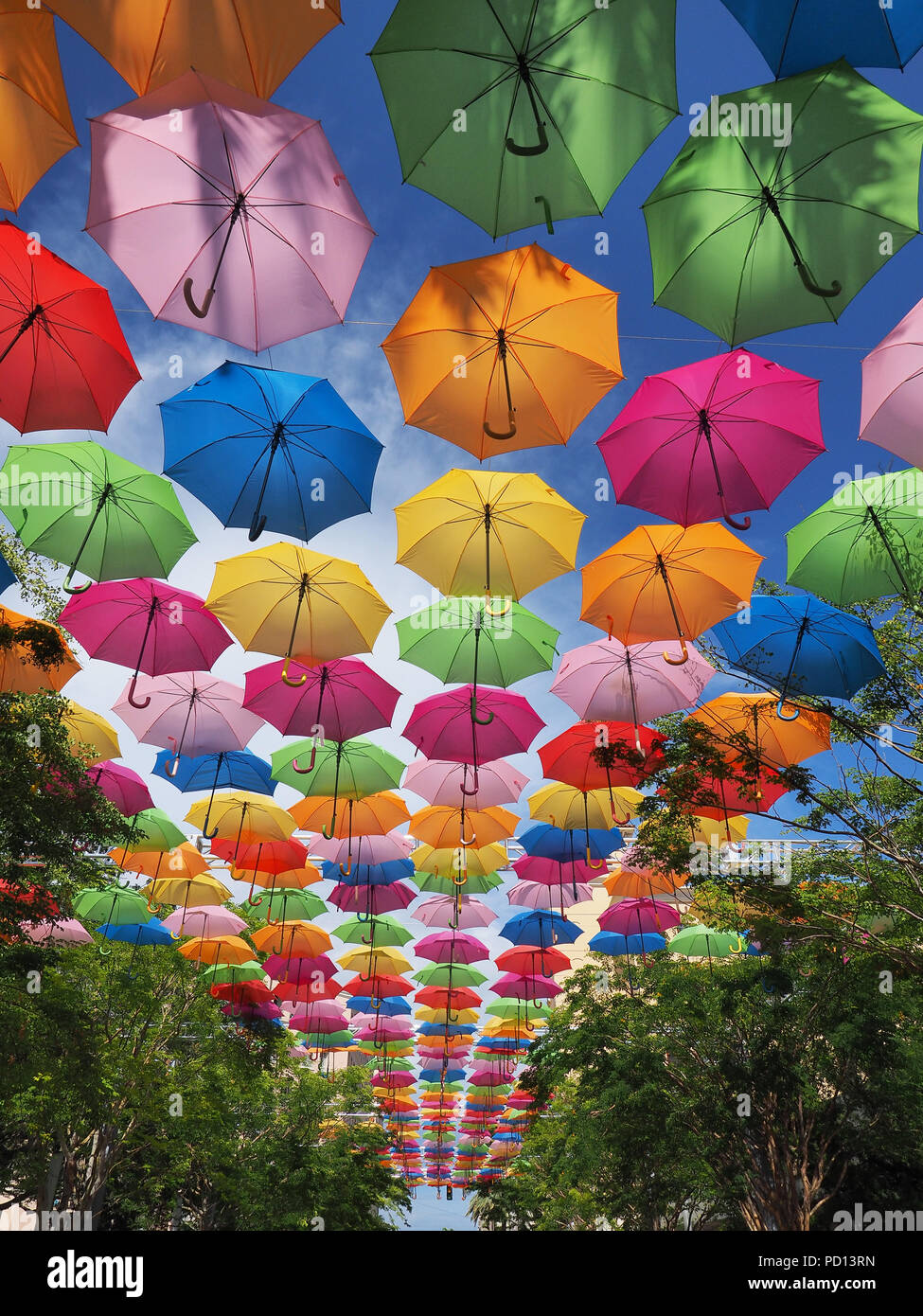Umbrella Sky in Coral Gables, Florida, a joint art project by the City