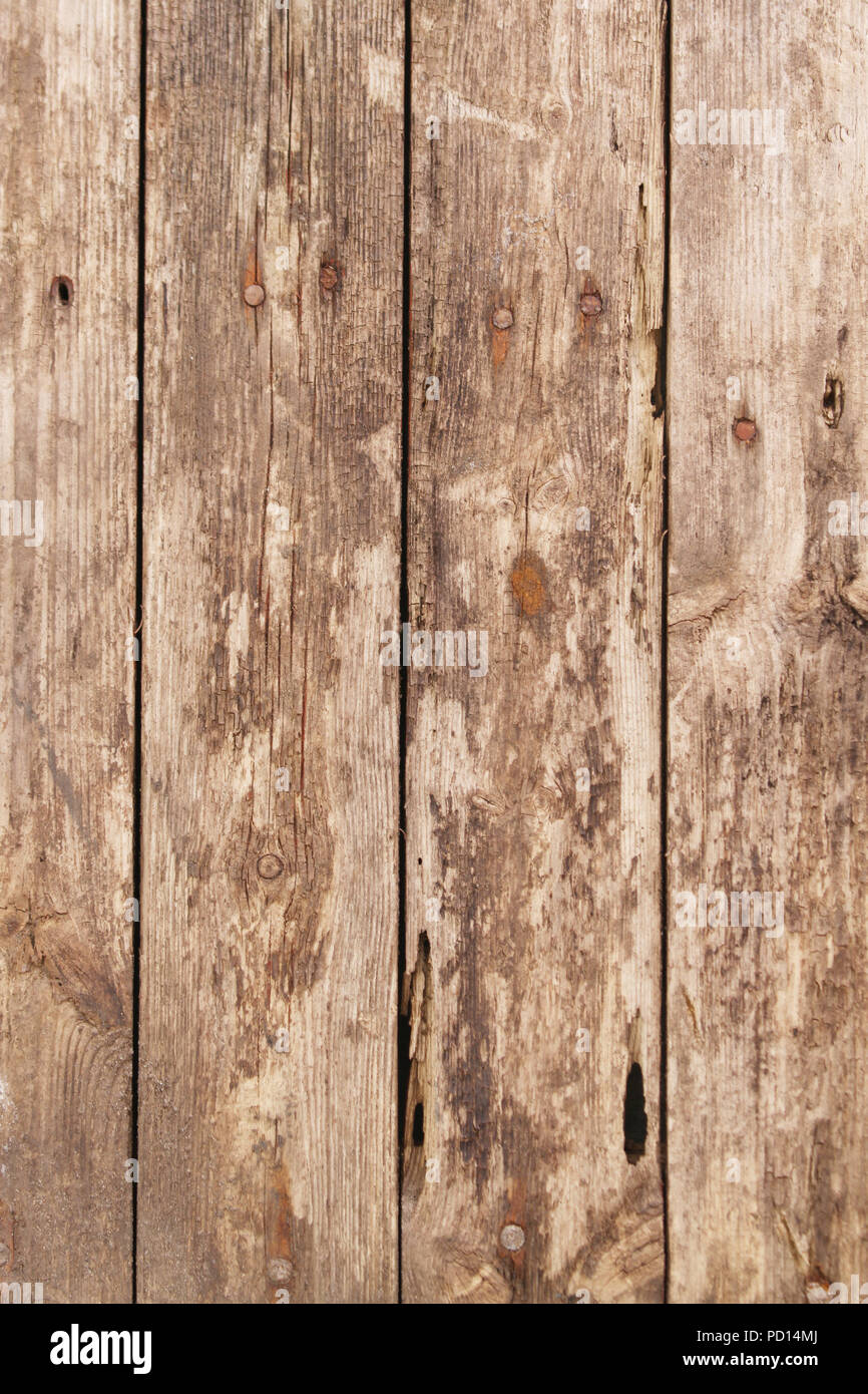 plain wood background Stock Photo - Alamy