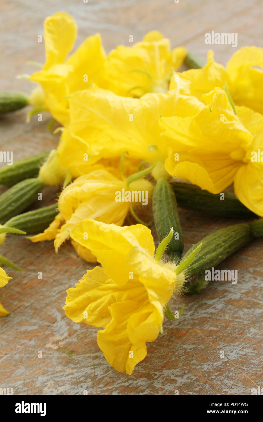 edible cucumber flowers Stock Photo Alamy