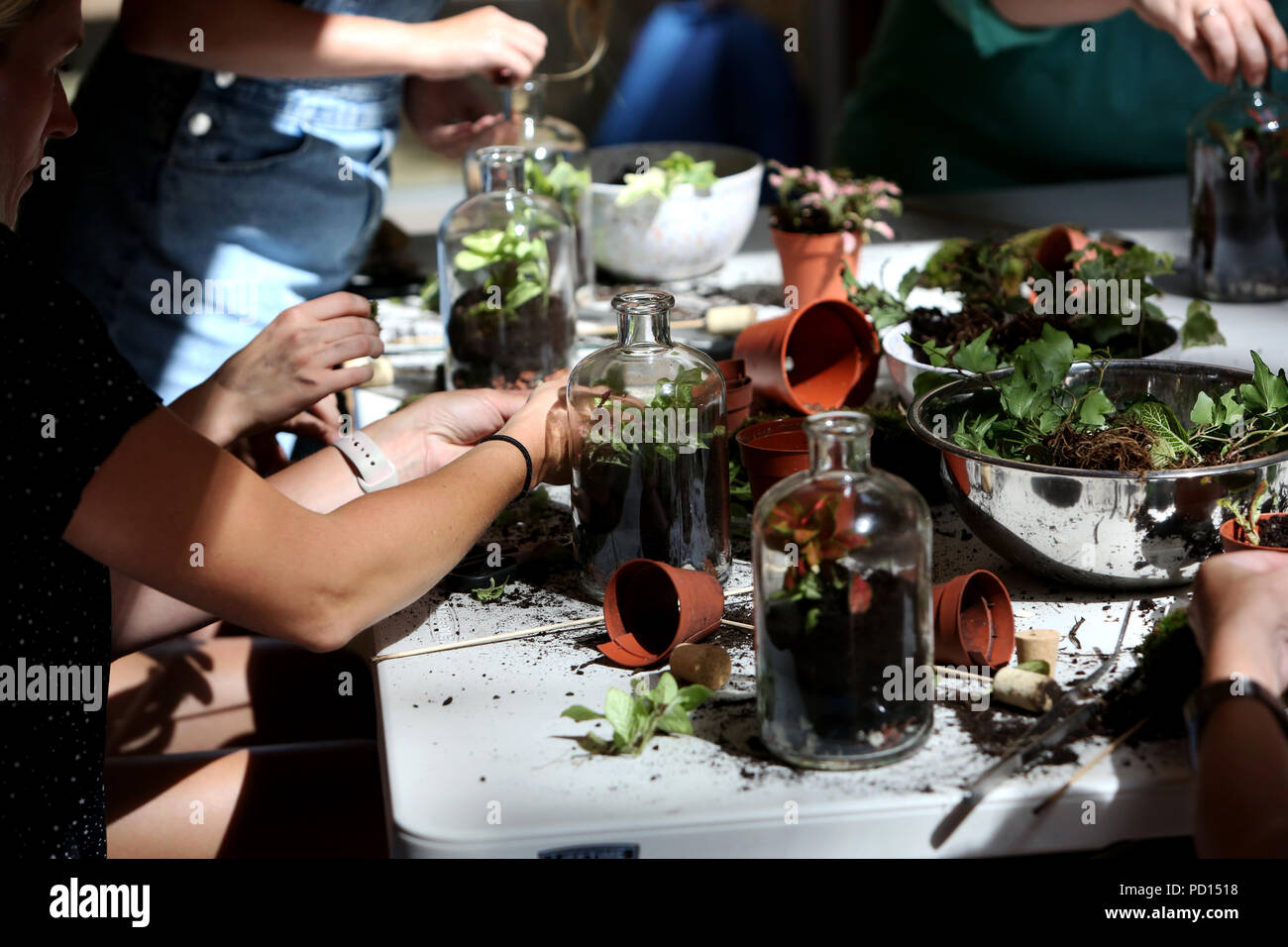 Terrarium art hires stock photography and images Alamy