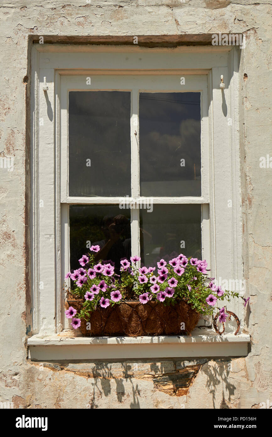 A Classic Farmhouse Window With A Blooming Flower Box New Holland