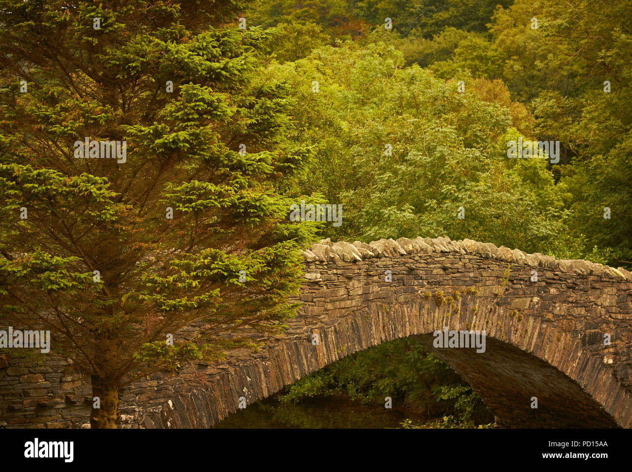 Grange Bridge, Borrowdale, Cumbria, England. Lake District National Park Stock Photo