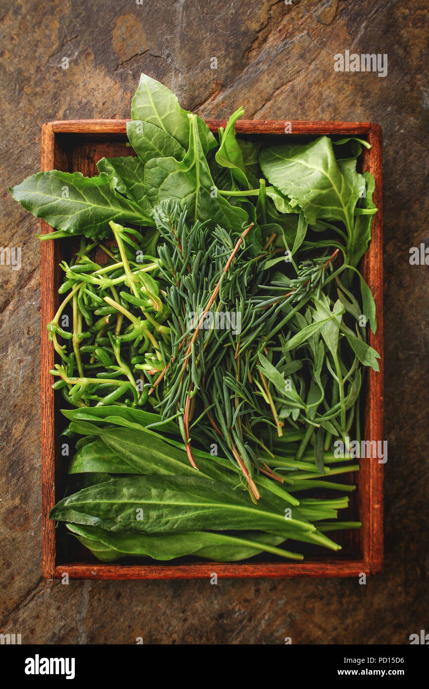 sea herb selection Stock Photo Alamy