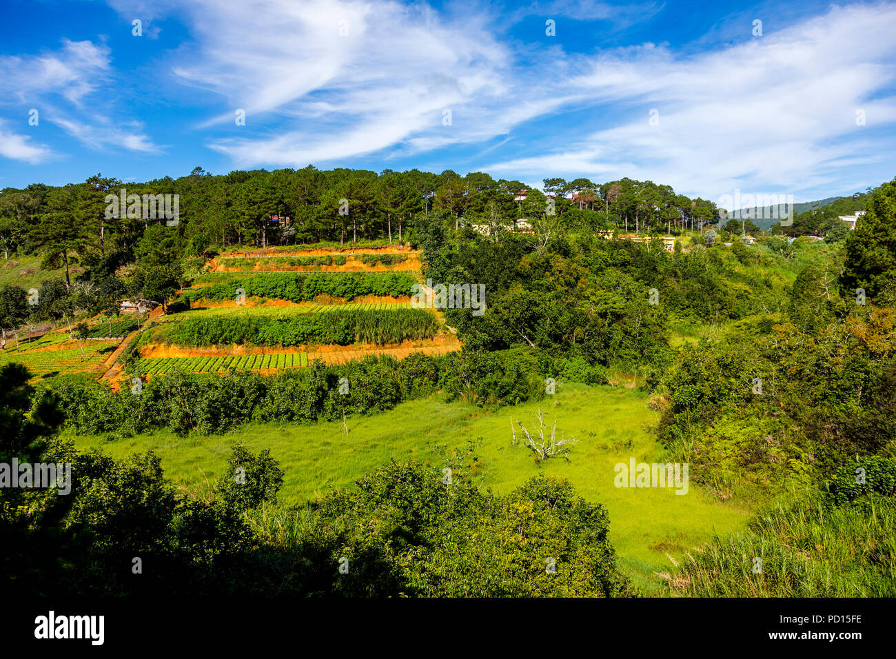Farm land as seen from the aerial cable car Cap Treo in Dalat, Vietnam