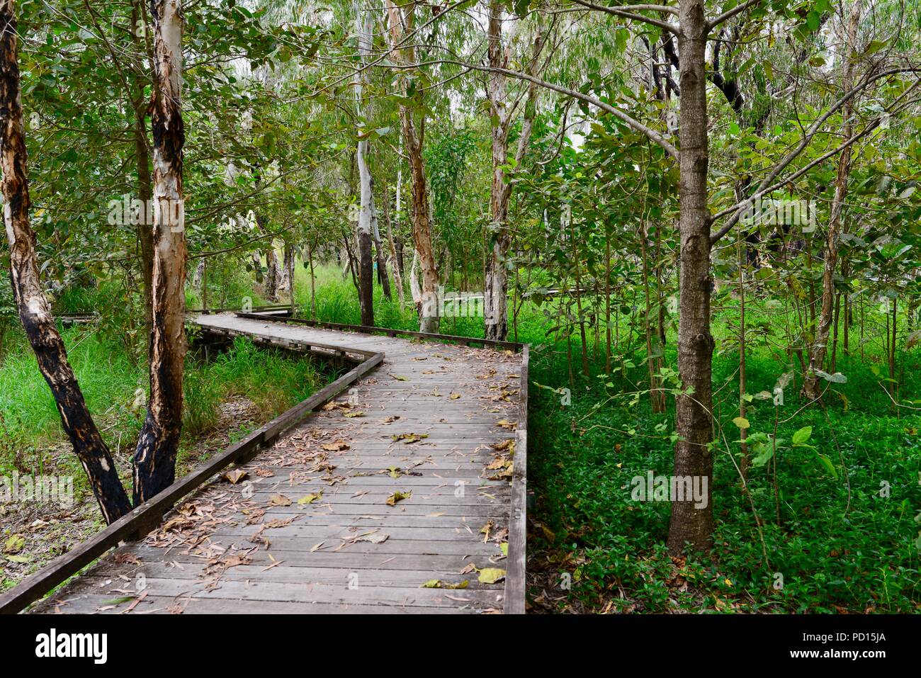 Boardwalk at Booroona walking trail on the Ross River, Rasmussen QLD 4815, Australia Stock Photo