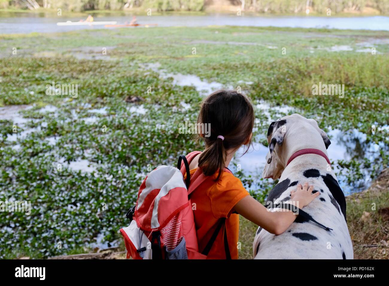 A young girl White and black great dane dog together overlooking a river, Booroona walking trail on the Ross River, Rasmussen QLD 4815, Australia Stock Photo