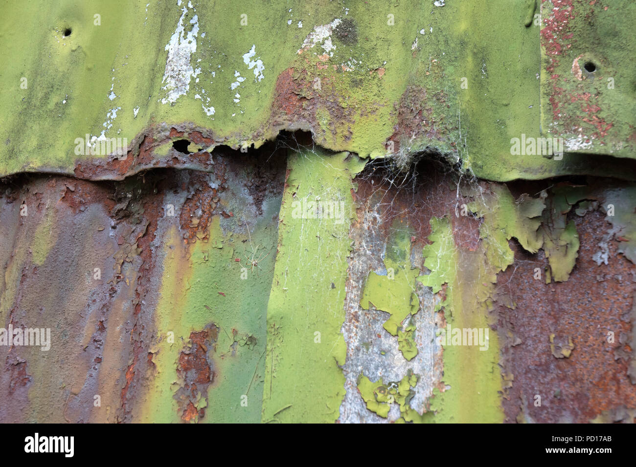 Rusting Corrugated sheets on a farm building as a background Stock Photo