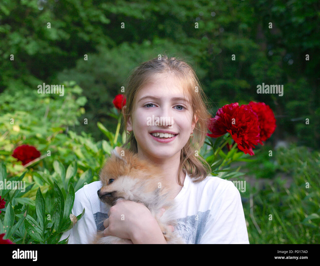Young happy girl posing with a small dog in a beautiful garden Stock ...