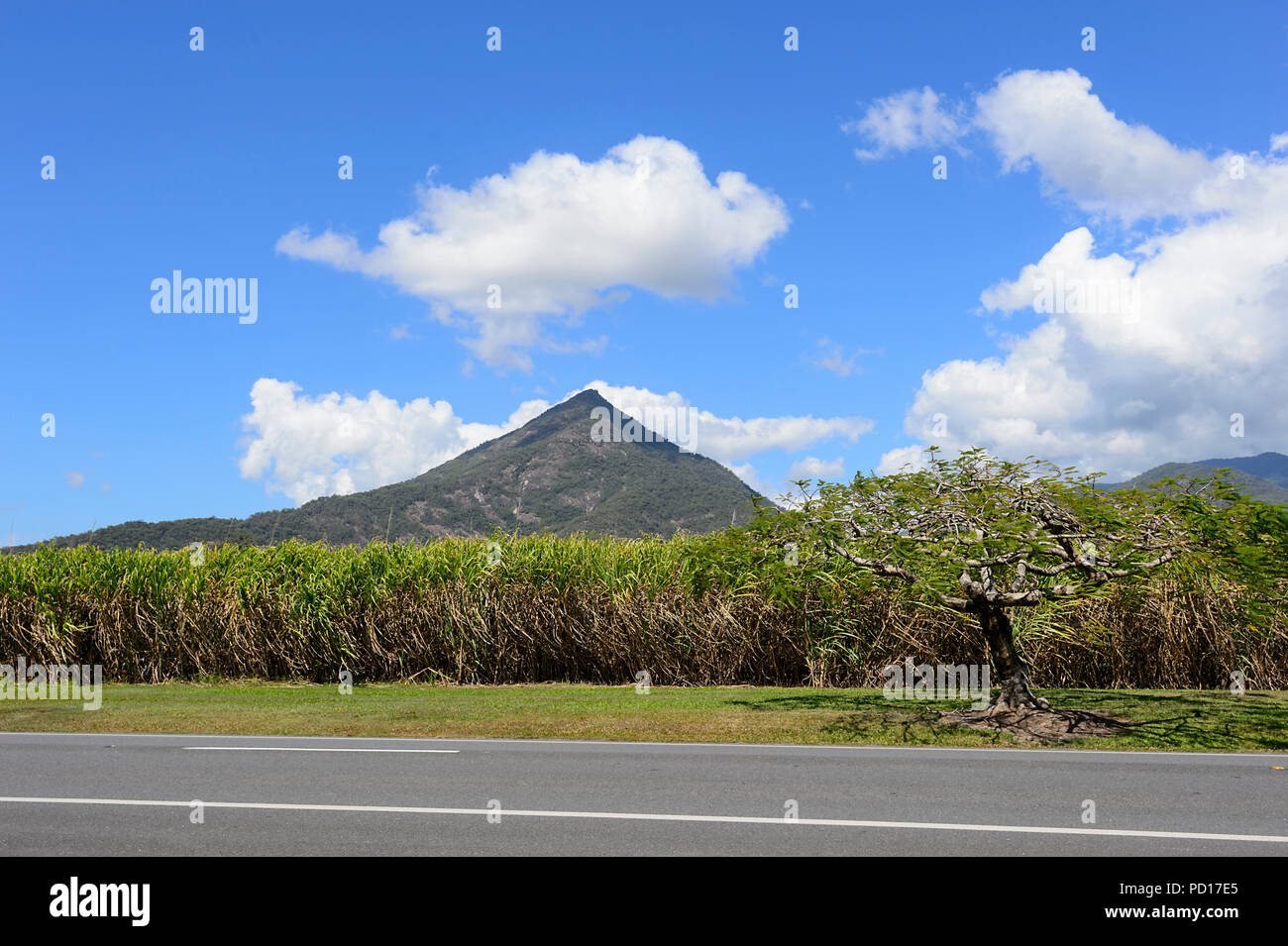 Pyramid Mountain High Resolution Stock Photography And Images Alamy Pyramid Mountain High Resolution Stock Photography And Images Alamy