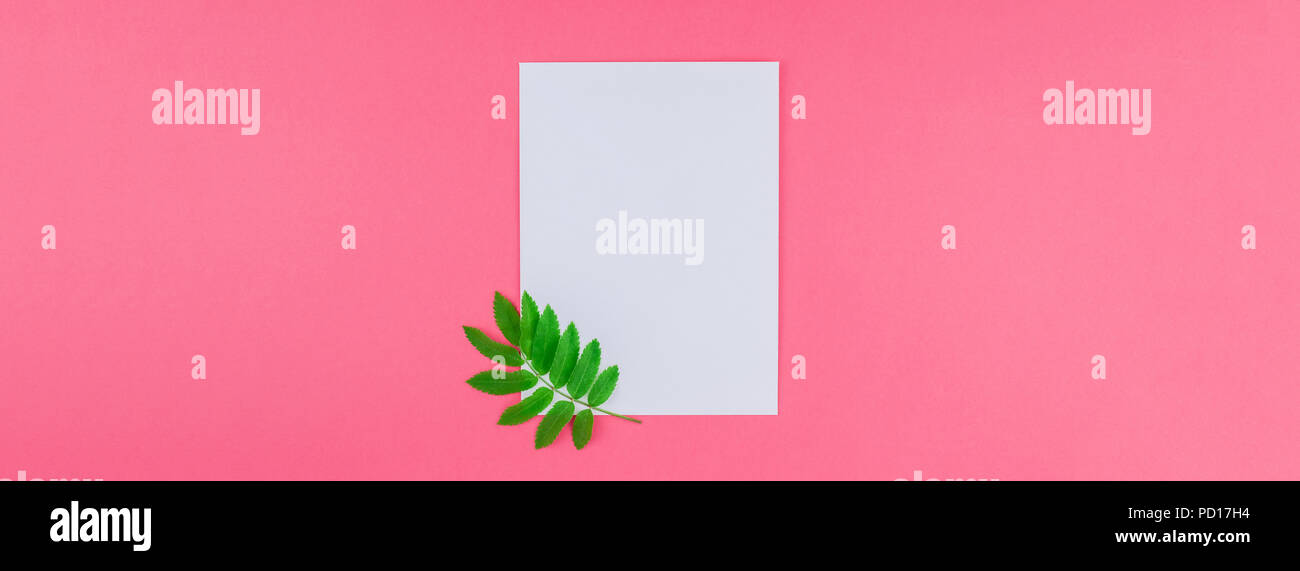 Creative flat lay top view white letter mock up with fresh green rowan ...