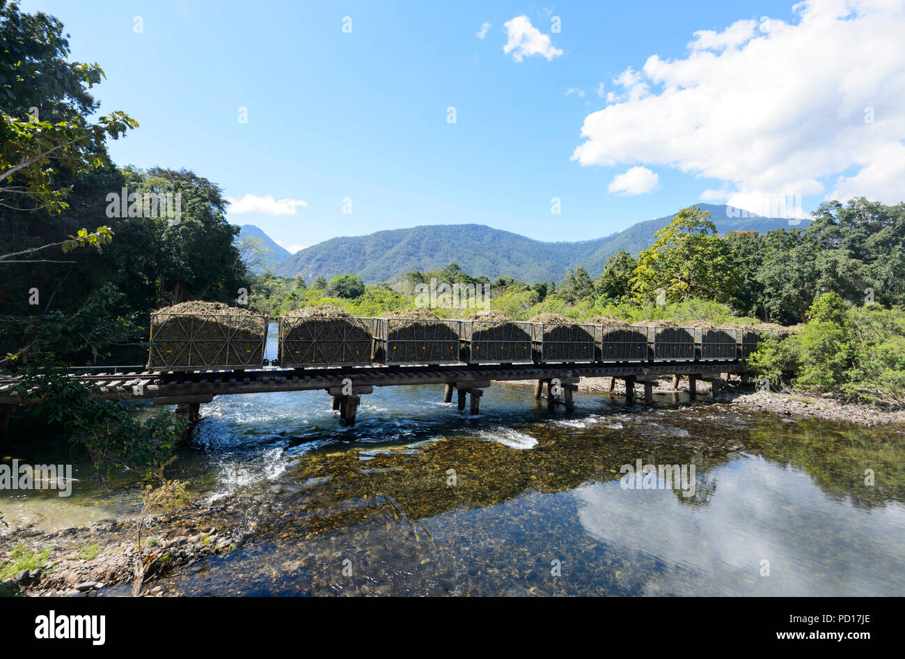 Harvested sugarcane on a train on the railway bridge over the Mulgrave
