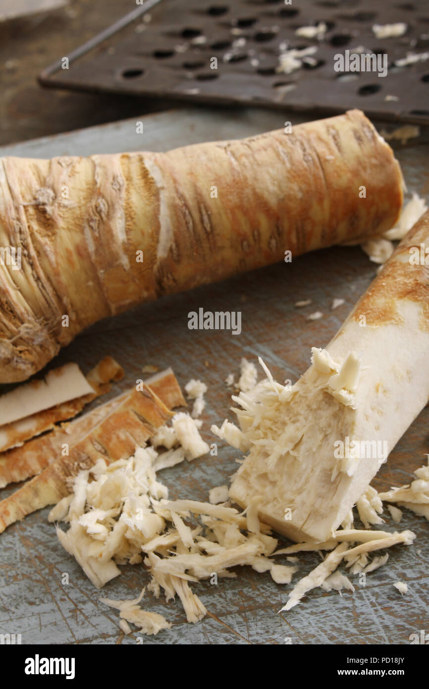 grating fresh horseradish root Stock Photo Alamy
