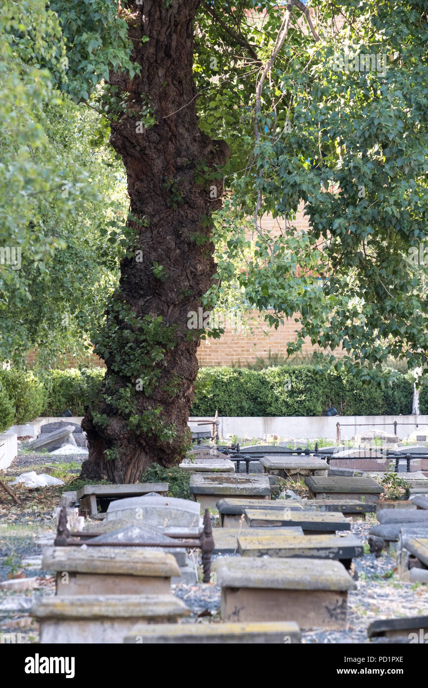 Novo Cemetery at Queen Mary University of London. Historic Sephardi Jewish burial ground located in the East End of London. Stock Photo