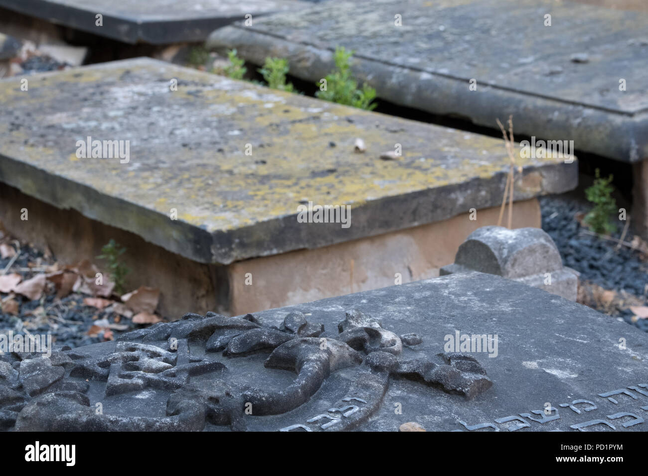 Gravestone at Novo Cemetery at Queen Mary, University of London