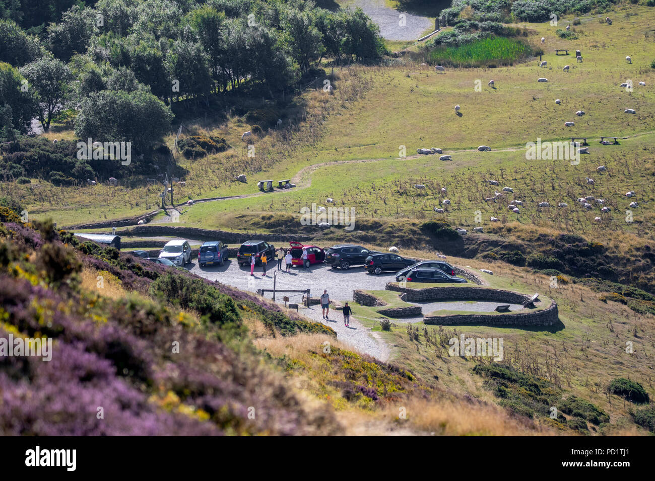 Walkers parking their cars and heading at the top car park on Moel