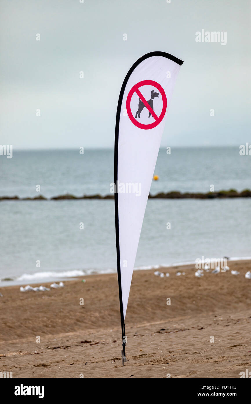 A no dog sign on a deserted Colwyn Bay beach in North Wales Stock Photo
