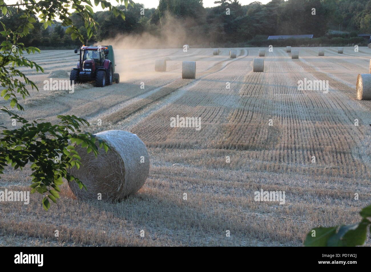 Farmer working land turning straw in to round bales of hay in evening sunlight West Yorkshire in