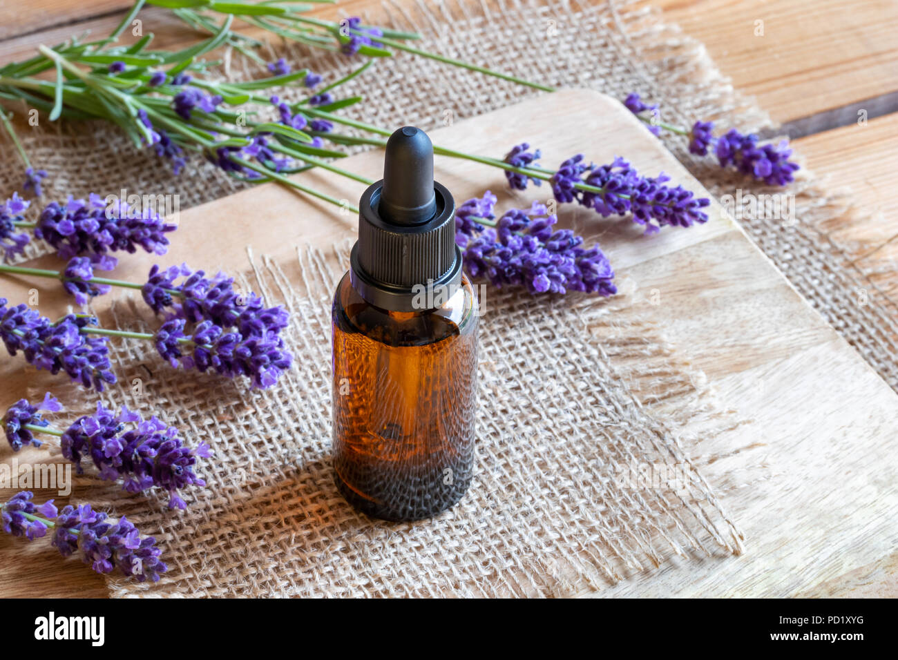 A bottle of essential oil with fresh blooming lavender twigs Stock ...