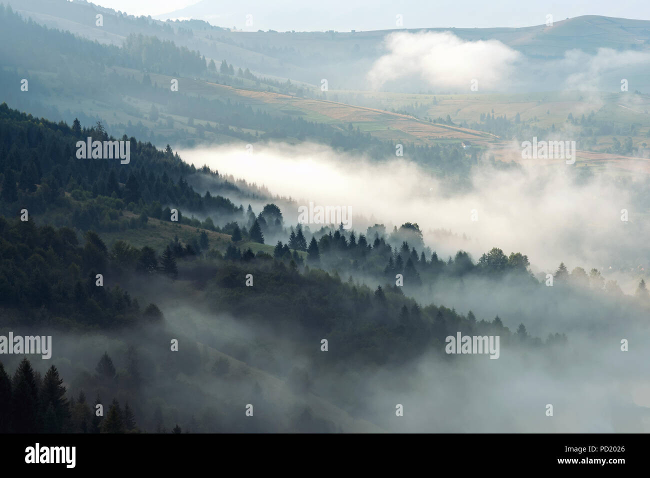 Scenic view of mountain forests covering by fog Stock Photo - Alamy