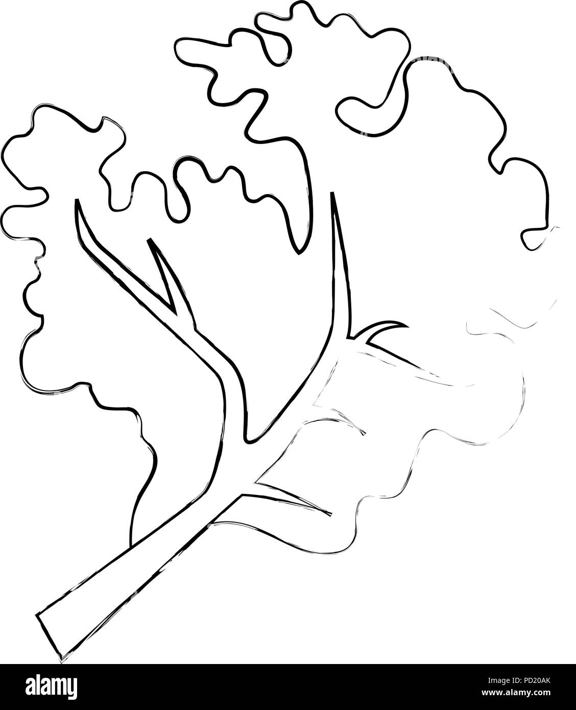 Eating lettuce Black and White Stock Photos & Images Alamy