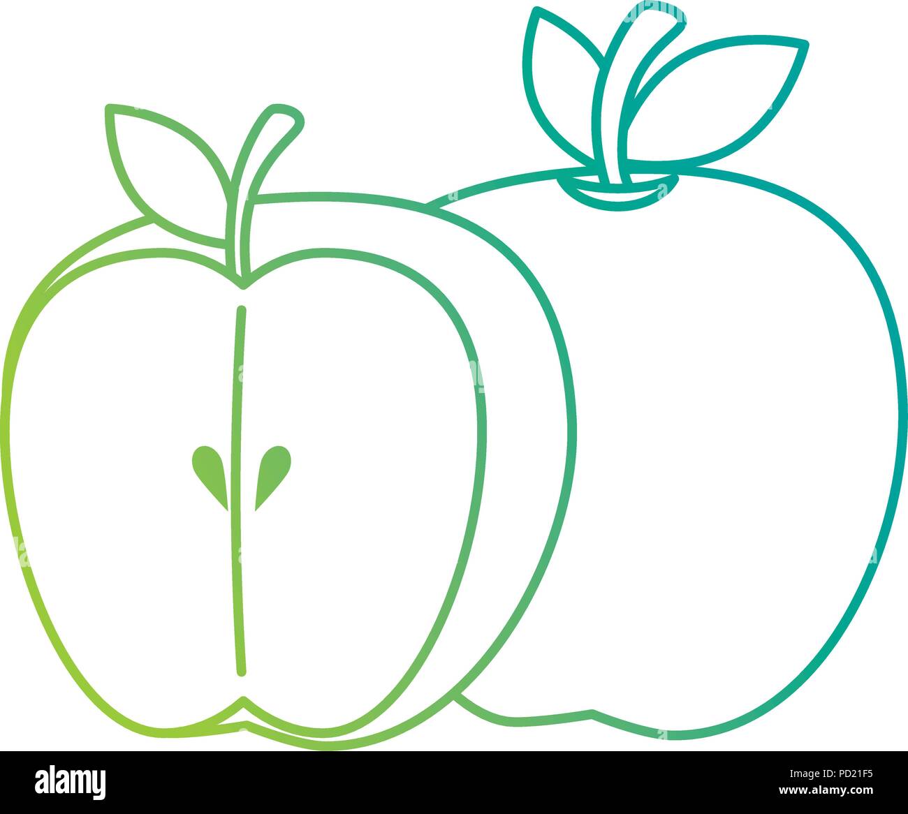 apple fresh fruit healthy Stock Vector Image & Art - Alamy