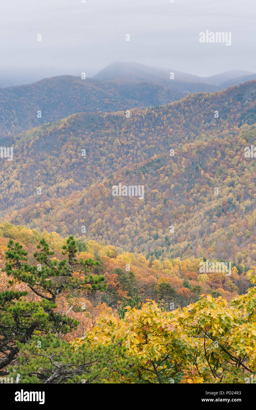 Autumn Blue Ridge Mountain View, from the Blue Ridge Parkway in the ...