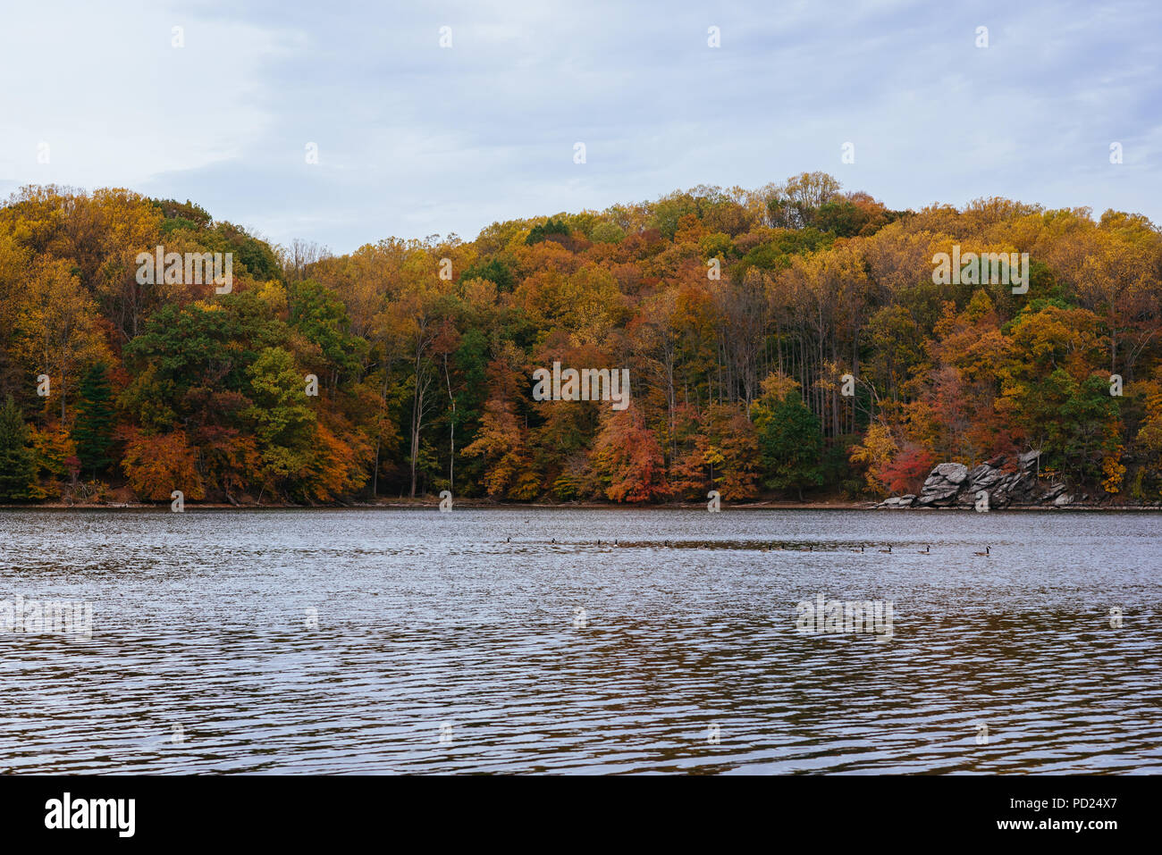 Autumn color at Loch Raven Reservoir, in Cockeysville, Maryland Stock