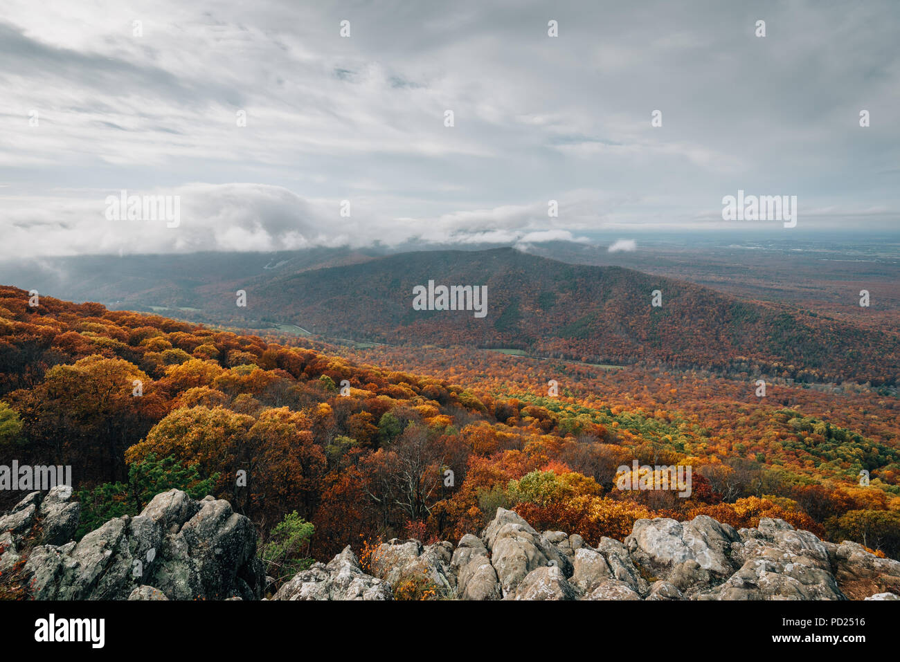 Autumn View From Ravens Roost Overlook On The Blue Ridge Parkway In Virginia Stock Photo Alamy