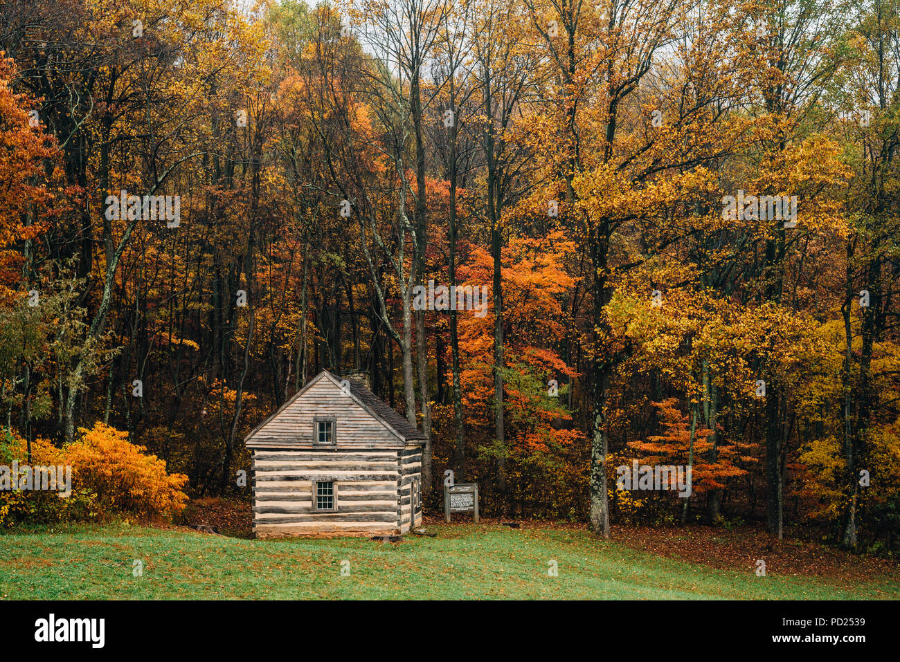 Peaks of otter hi-res stock photography and images - Alamy