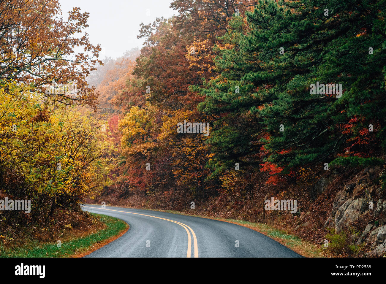Fall color along the Blue Ridge Parkway in Virginia Stock Photo Alamy