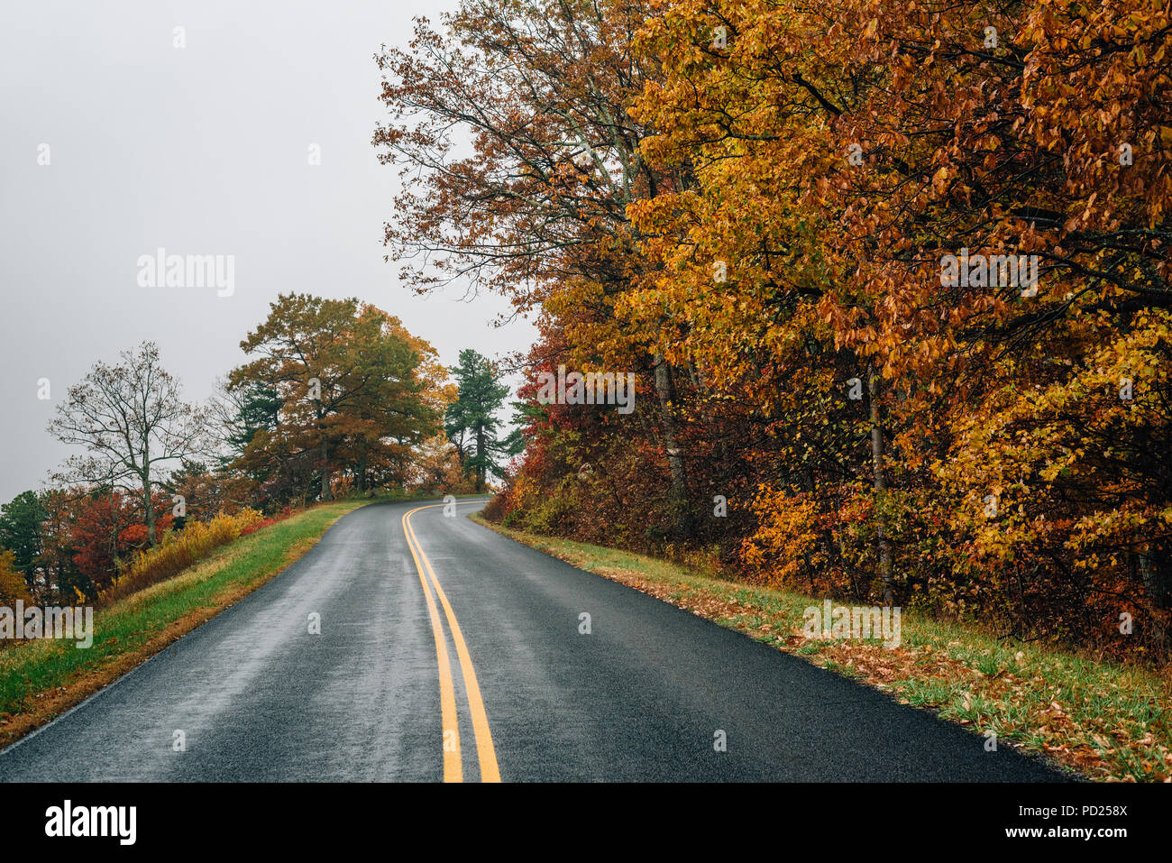 Fall color along the Blue Ridge Parkway in Virginia Stock Photo - Alamy