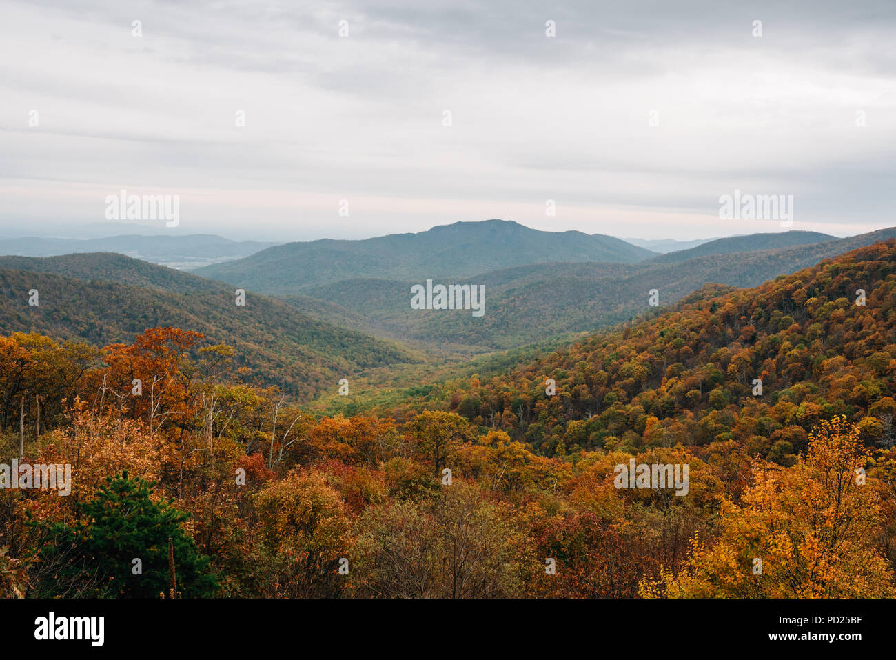 Fall color and Blue Ridge Mountains view from Skyline Drive in ...