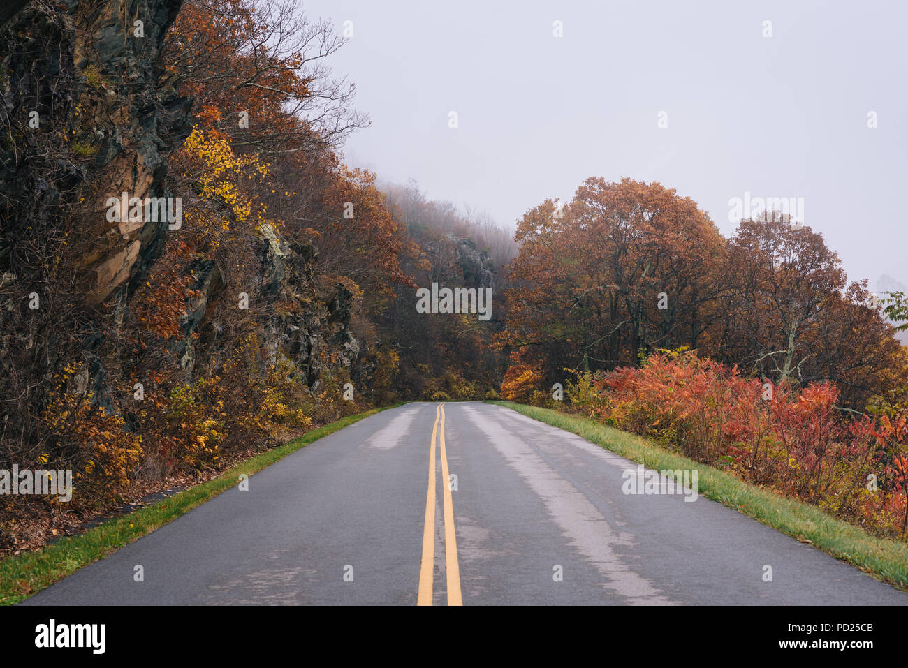 Fall foliage and fog on the Blue Ridge Parkway in Virginia Stock Photo ...