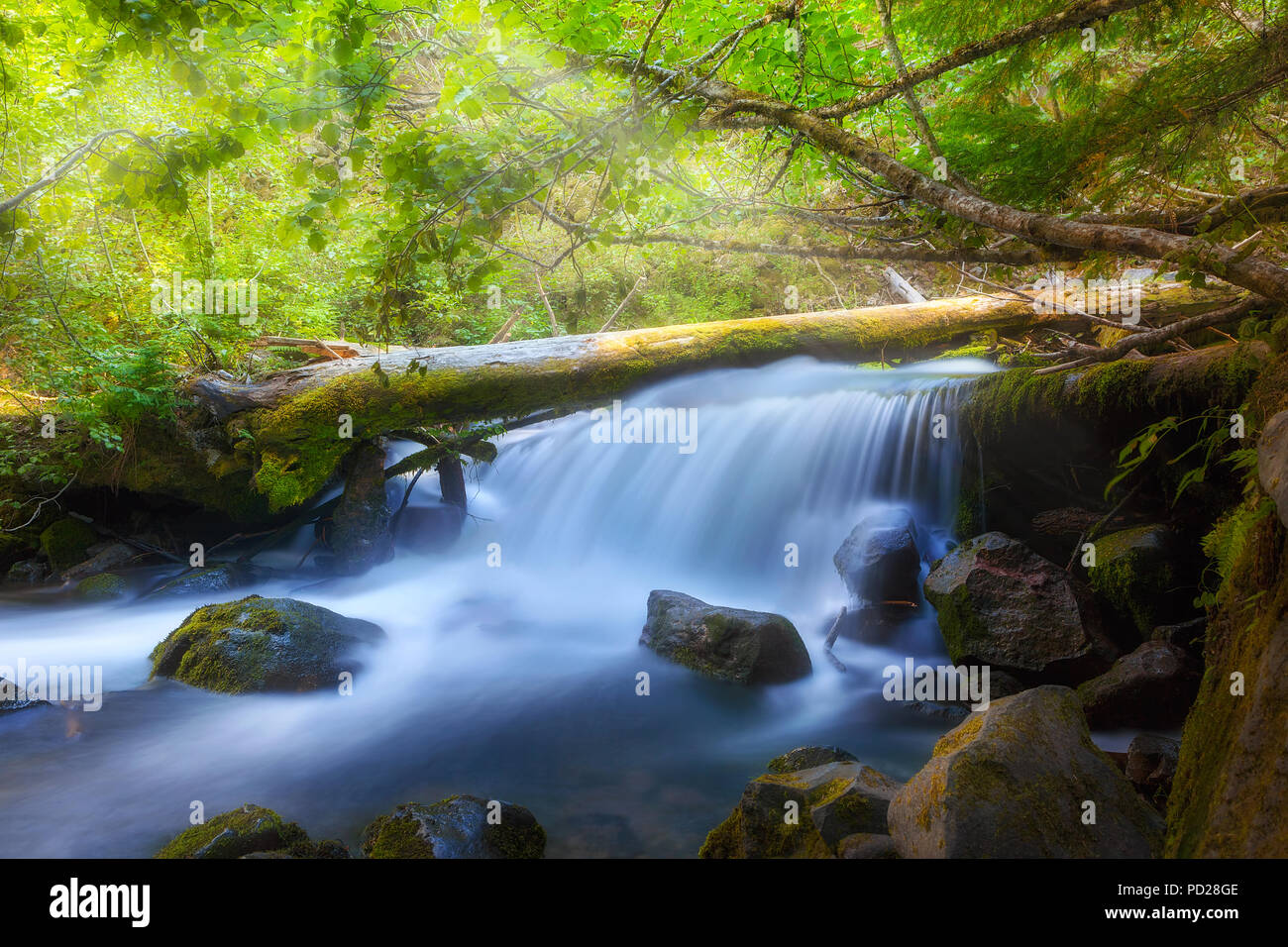 Waterfall on Cold Spring Creek along Tamanawas Falls Trail at Mount Hood National Forest in Oregon Stock Photo