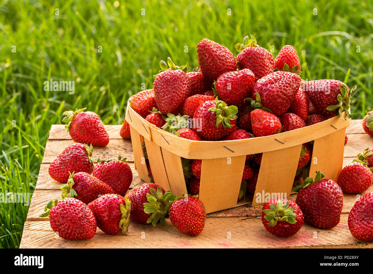 fresh homemade strawberries in a basket in the street on grass ...