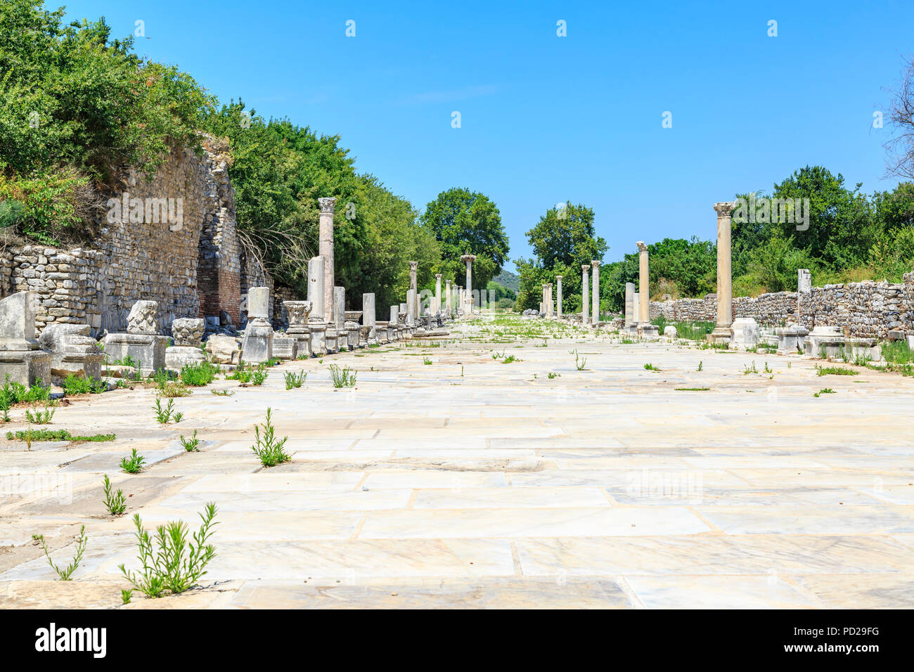 Port road of antique roman city Ephesus in Izmir, Turkey Stock Photo