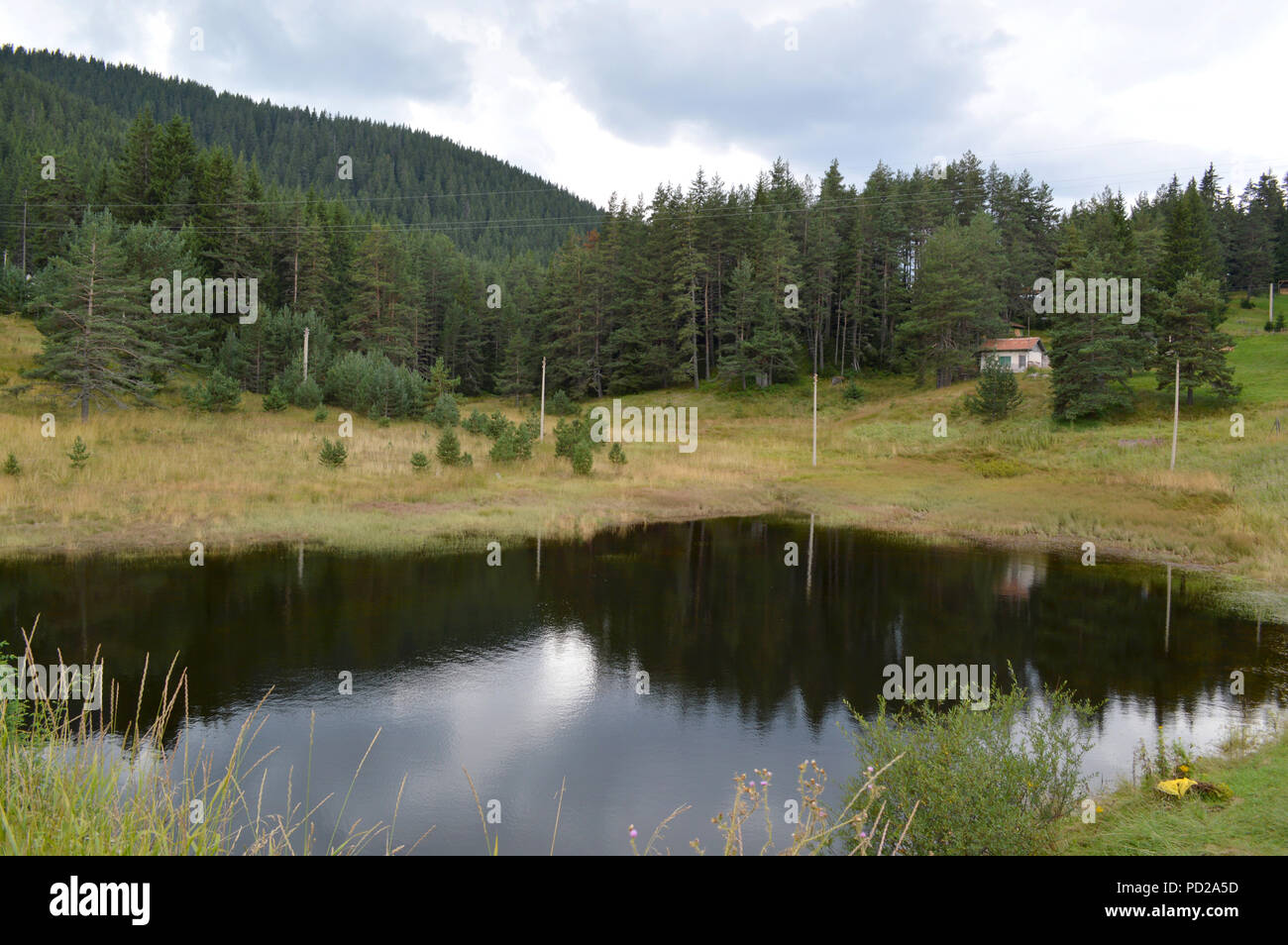 Western Rhodopes Western rhodope mountain hi-res stock photography and images - Alamy