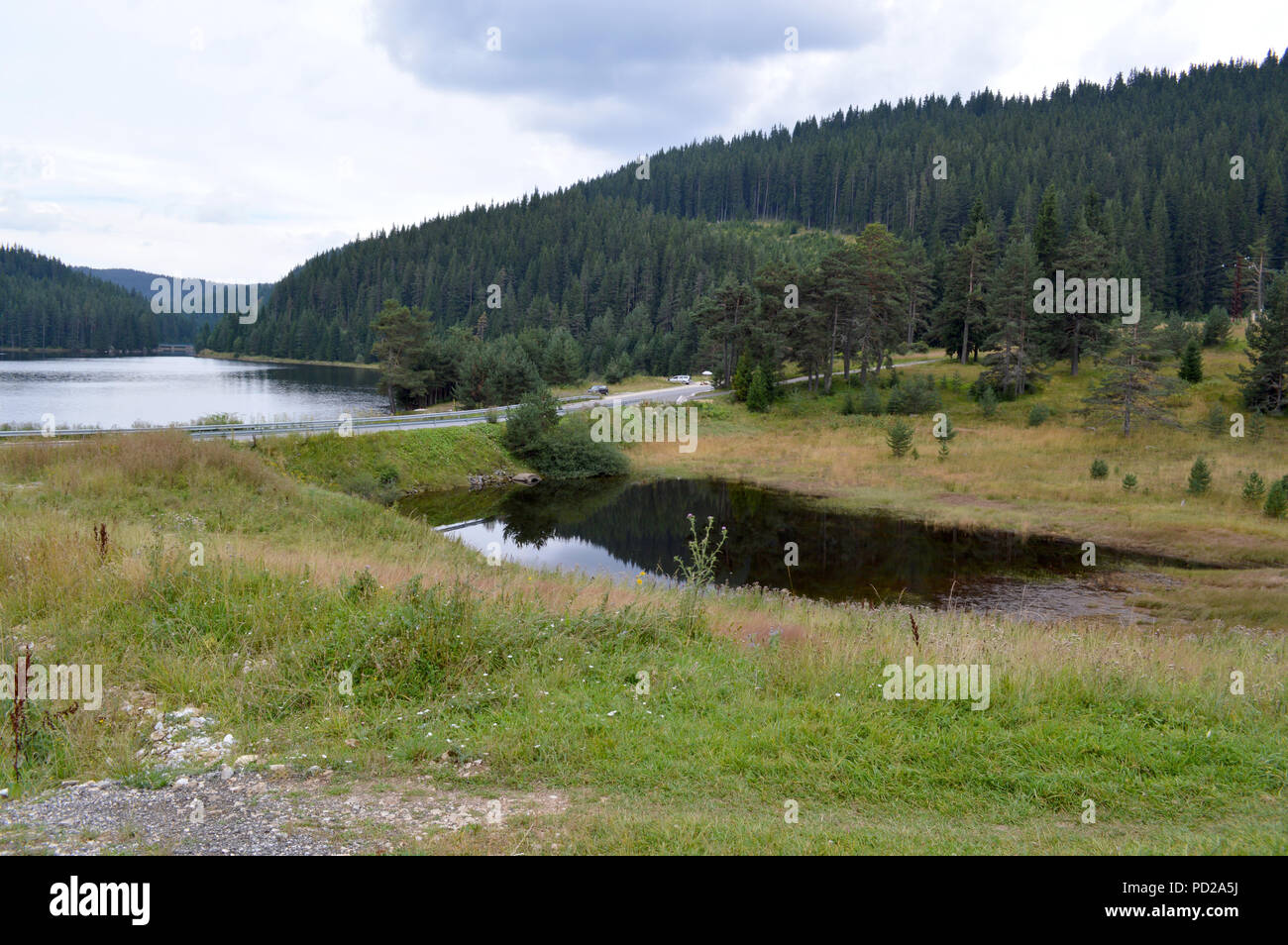 Western Rhodopes Western rhodope mountain hi-res stock photography and images - Alamy