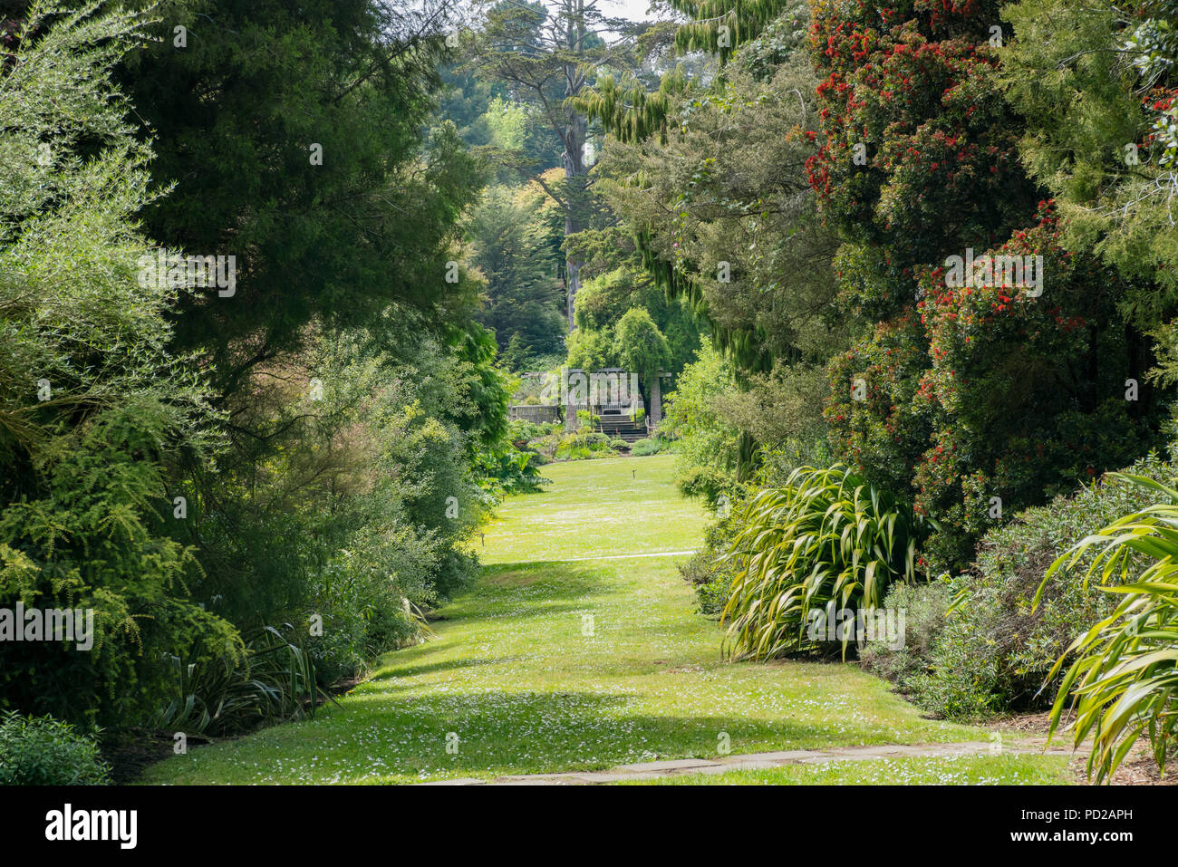 Nature scene in the San Francisco Botanical Garden, California Stock Photo  - Alamy