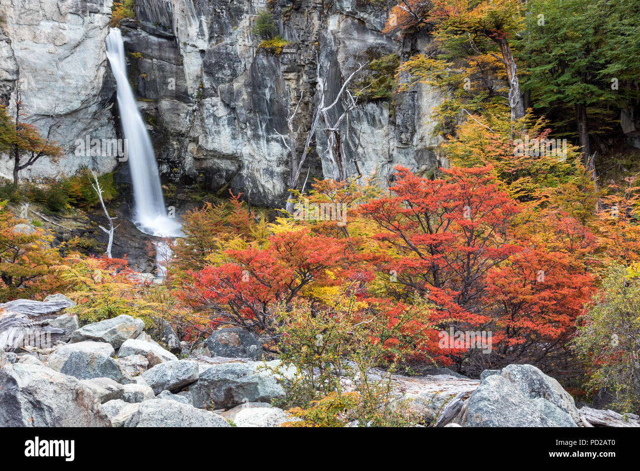 Beautiful El Chorillo waterfall at Los Glaciares National Park, Patagonia, Argentina Stock Photo
