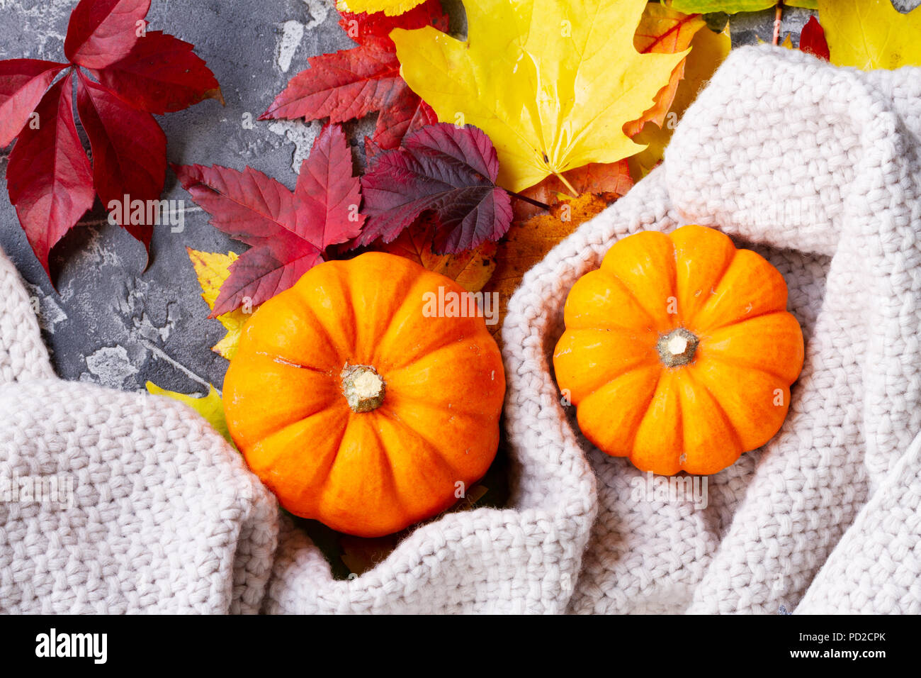Thanksgiving pumpkins with fall leaves Stock Photo - Alamy