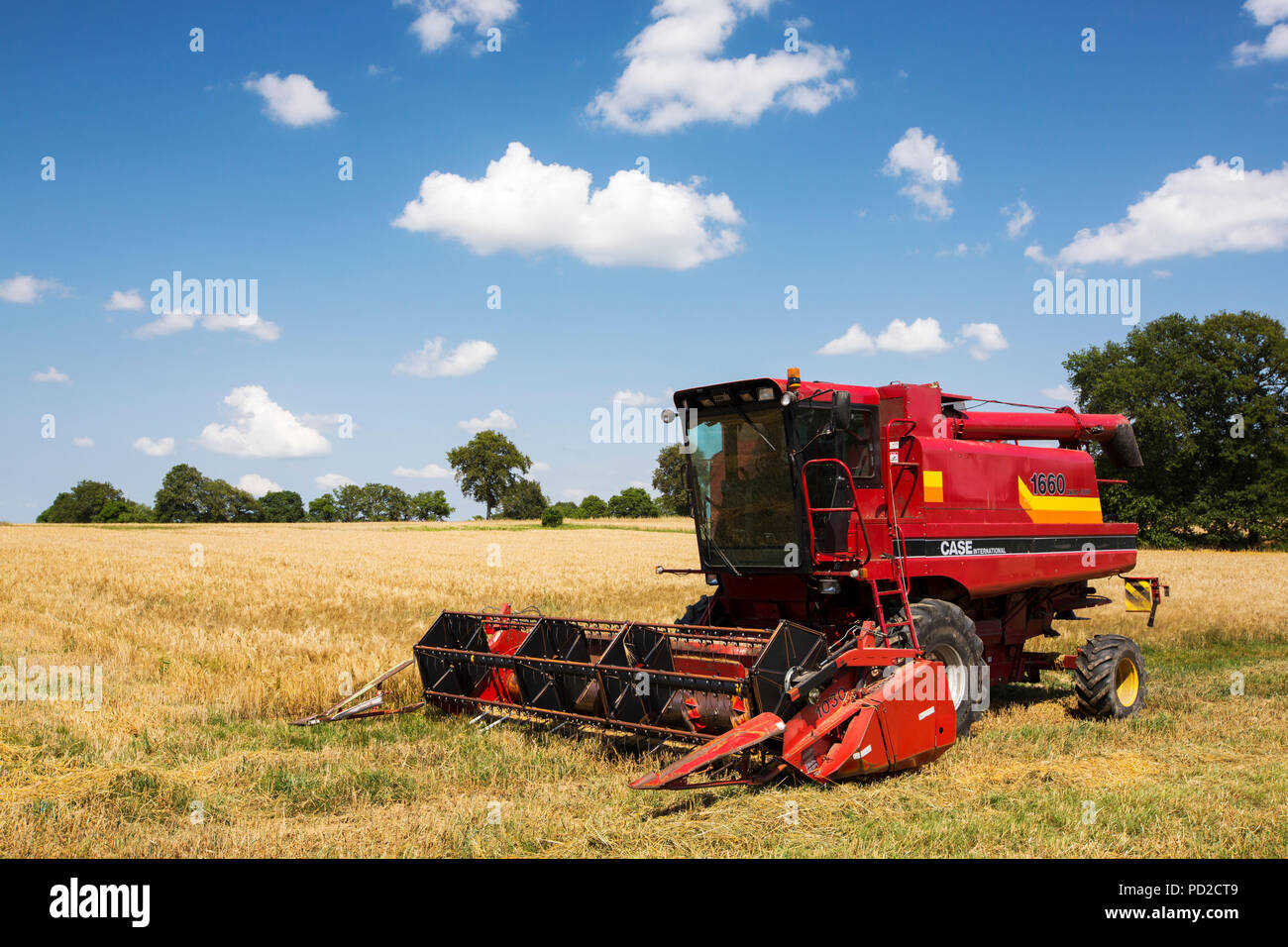 A farmer harvesting wheat on a farm near Esse, Limoge region, France. Stock Photo