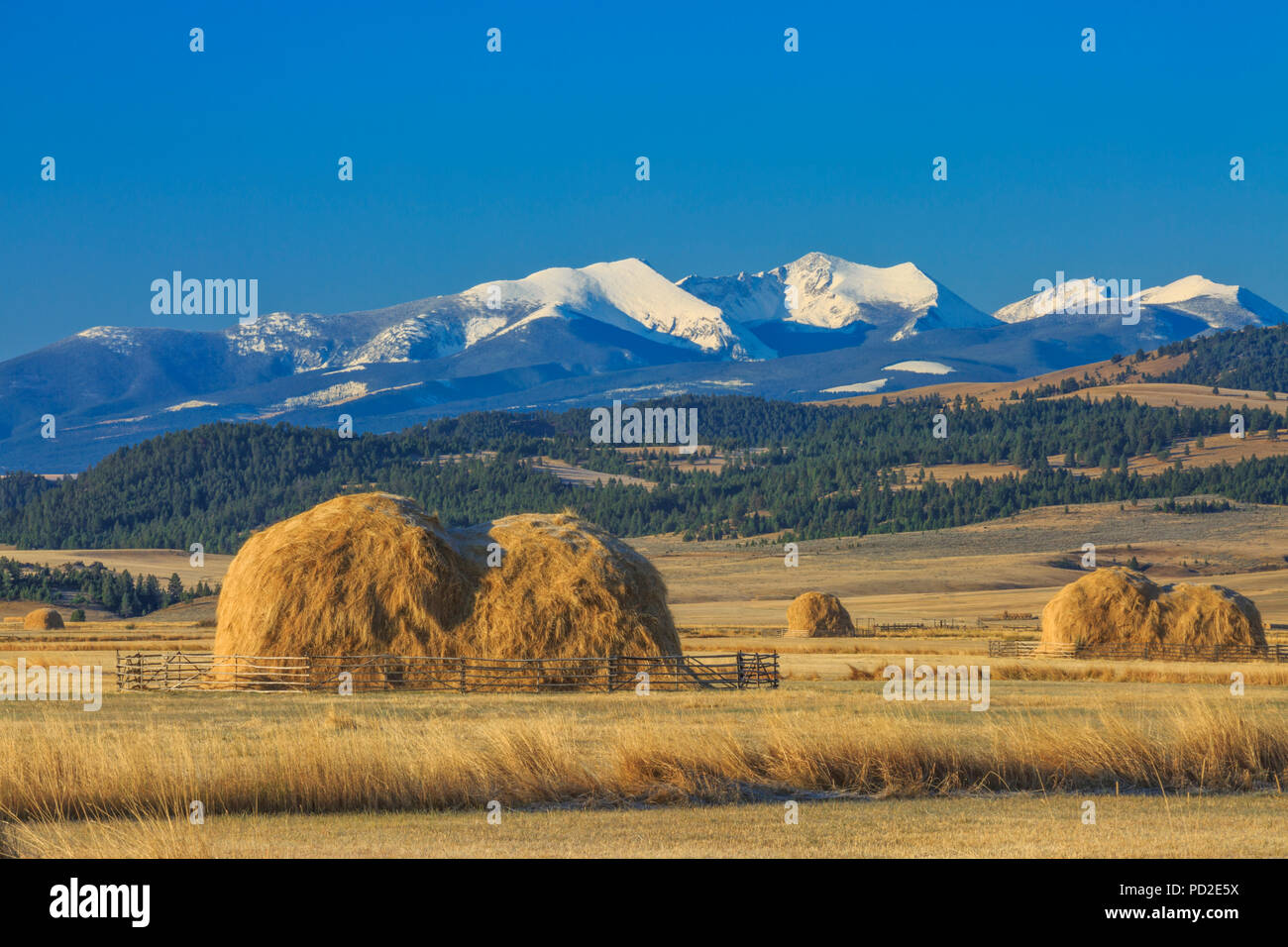 haystacks in fields below peaks of the flint creek range near avon, montana Stock Photo