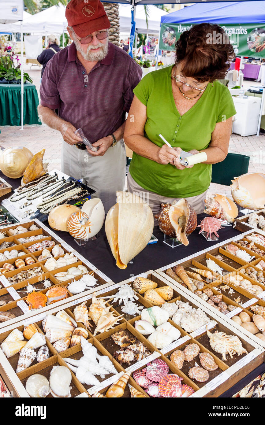 Lady collecting shells hi-res stock photography and images - Alamy