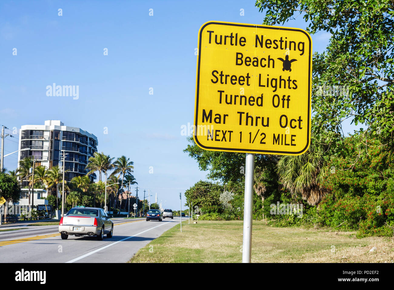 Boca Raton Florida,Palm Beach County,Highland Beach,Ocean Boulevard,Sea Turtle Conservation & Research Program,sign,conservation,turtle nesting beach, Stock Photo