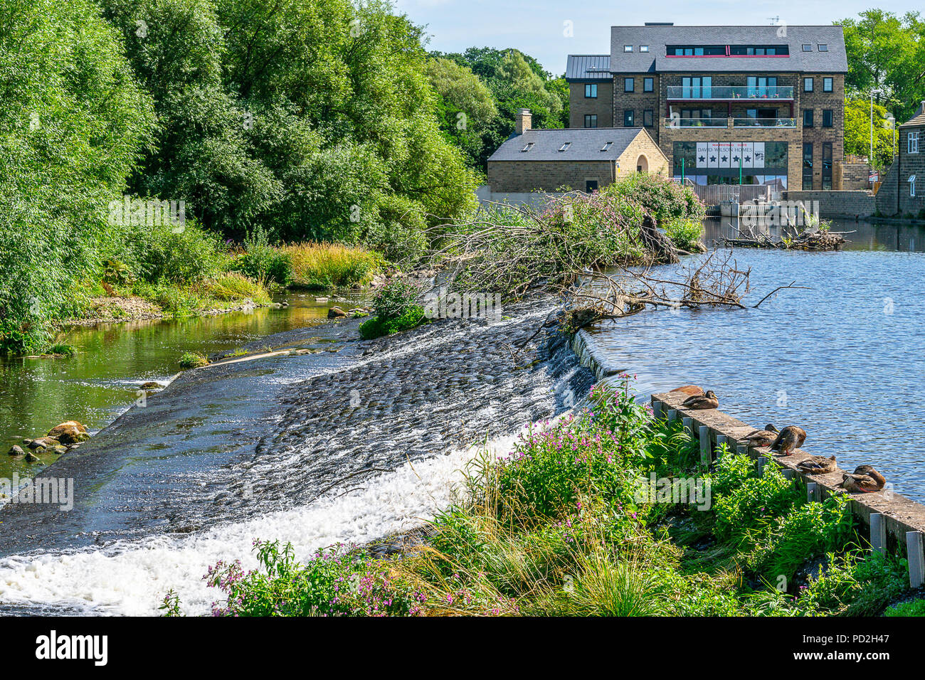 The weir at Otley during summer drought Stock Photo