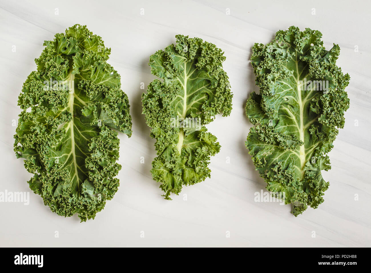 Leaves of kale on a white background. Top view, copy space. Healthy food background, clean eating concept. Stock Photo