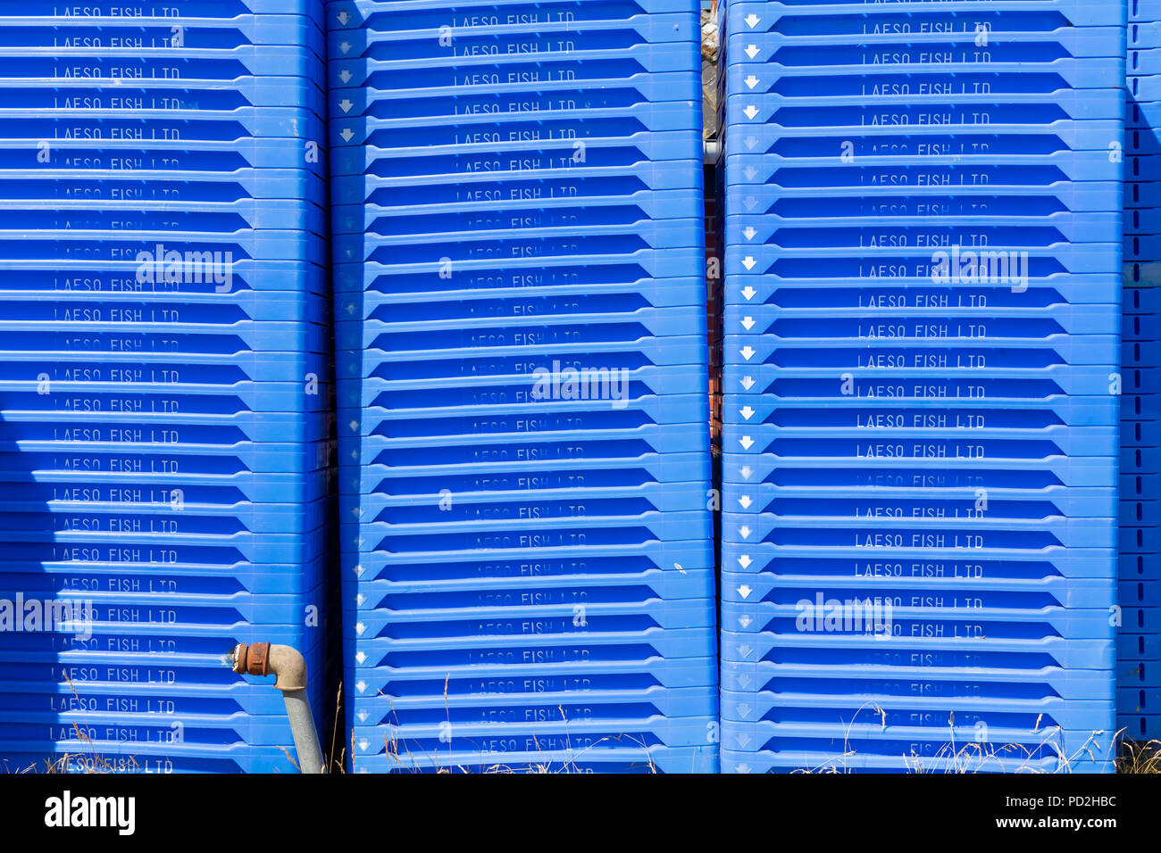 Laeso Fish Ltd., blue fishing crates; Oesterby, Laesoe, Denmark Stock Photo