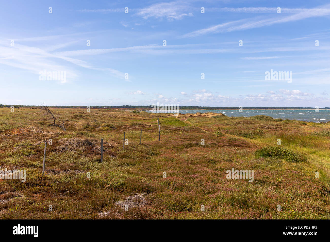 Landscape; Laesoe, Denmark Stock Photo