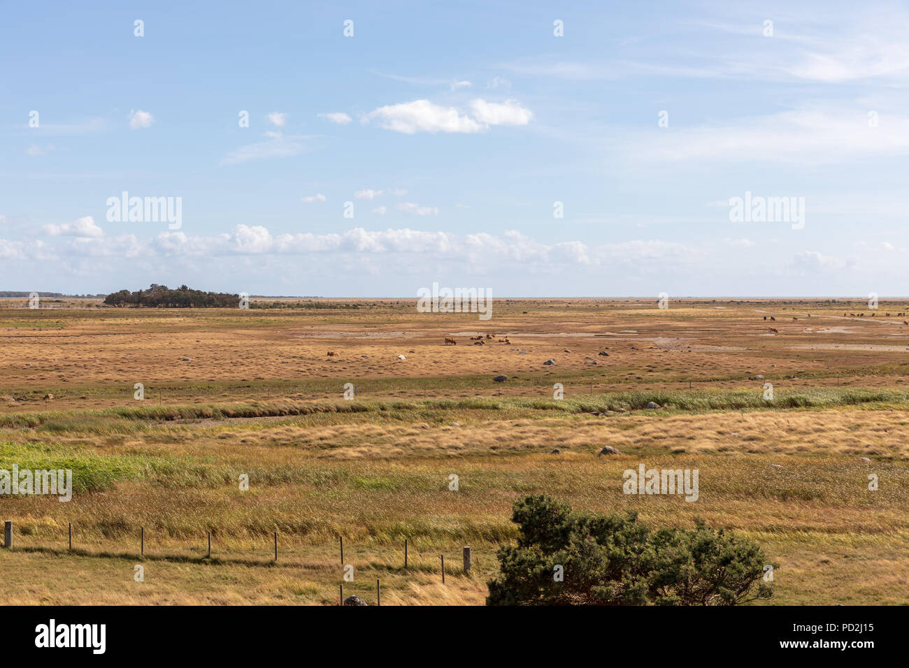 Landscape; Laesoe, Denmark Stock Photo